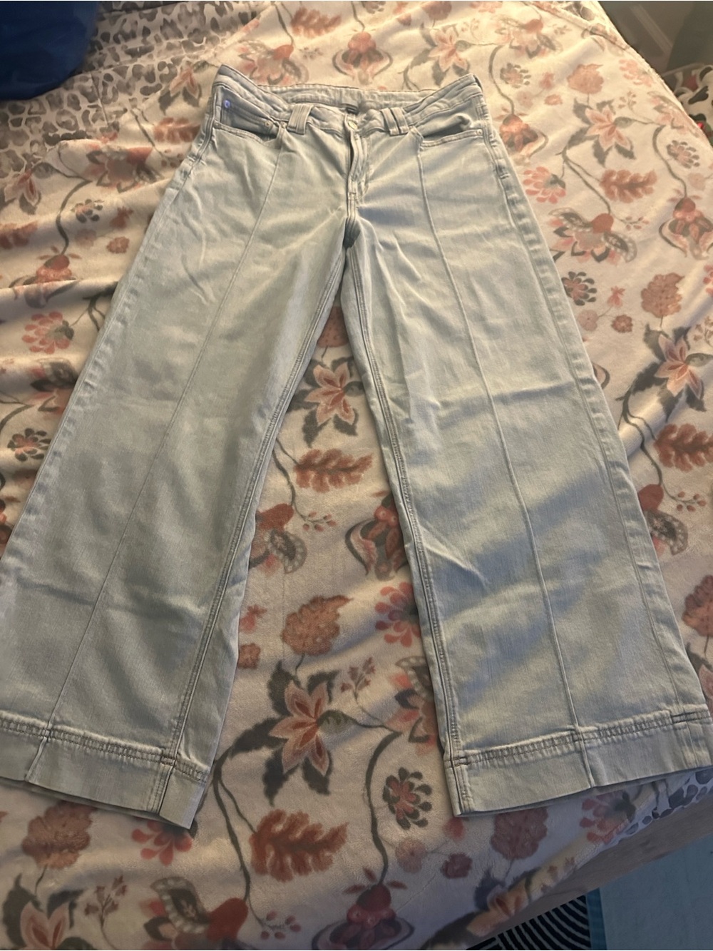 American Eagle Outfitters Light Blue Wide Leg Jeans